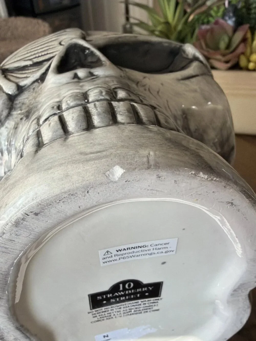 10 Strawberry Street Ceramic Skull Moth Canister - 8.5 Inch - NWT